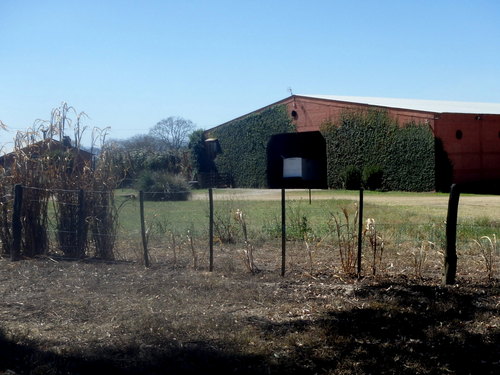 Ivy covered agricultural building.